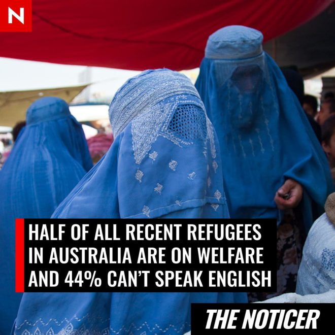 Shocking Stats: Are Refugees Draining Australia’s Resources? — refugee employment challenges, Australia immigration statistics 2025, health and language barriers for refugees