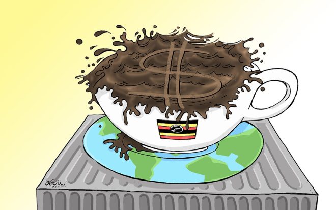 Uganda Shocks World: Overtakes Ethiopia in Coffee Export! — Uganda coffee export growth, Ethiopia coffee market decline, Africa coffee trade trends 2025