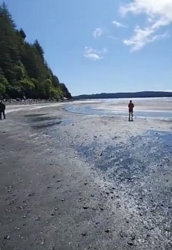 Water Recedes, Tsunami Looms: Evacuate Sand Point NOW! — tsunami warning Alaska, Sand Point evacuation alert, coastal flooding emergency 2025