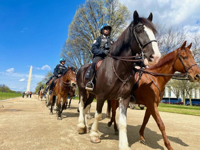 Are Park Police the Unsung Heroes of America's History? —  United States history preservation, National Park security initiatives, George Washington legacy protection