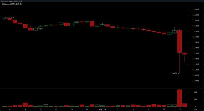 Bitcoin Plunges to $110K: Is This the End of Crypto? — Bitcoin price crash, cryptocurrency market volatility, BTC liquidation news
