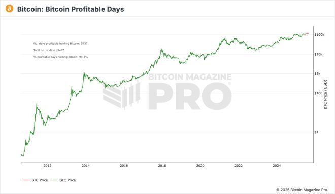 Bitcoin's 99% Profit Streak: Is It Too Good to Be True? —  Bitcoin investment success, cryptocurrency long-term gains, HODL strategy 2025