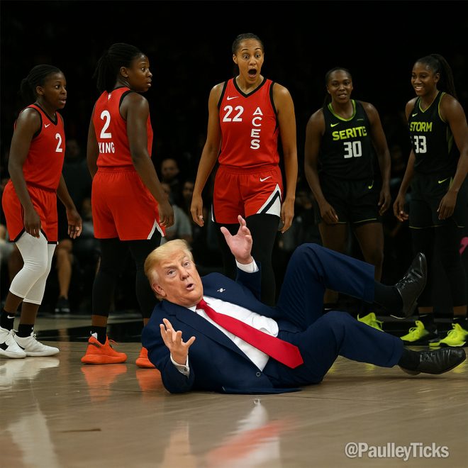 Breaking: Dildo Disruption Halts Aces vs. Storm Showdown! — WNBA game disruption news, Las Vegas Aces fan incidents, Seattle Storm controversial events