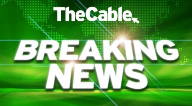 Breaking: Nigeria Dominates Women's Afrobasket, But at What Cost? — Nigeria women’s basketball dominance, Women’s Afrobasket 2025 champions, African basketball history milestones