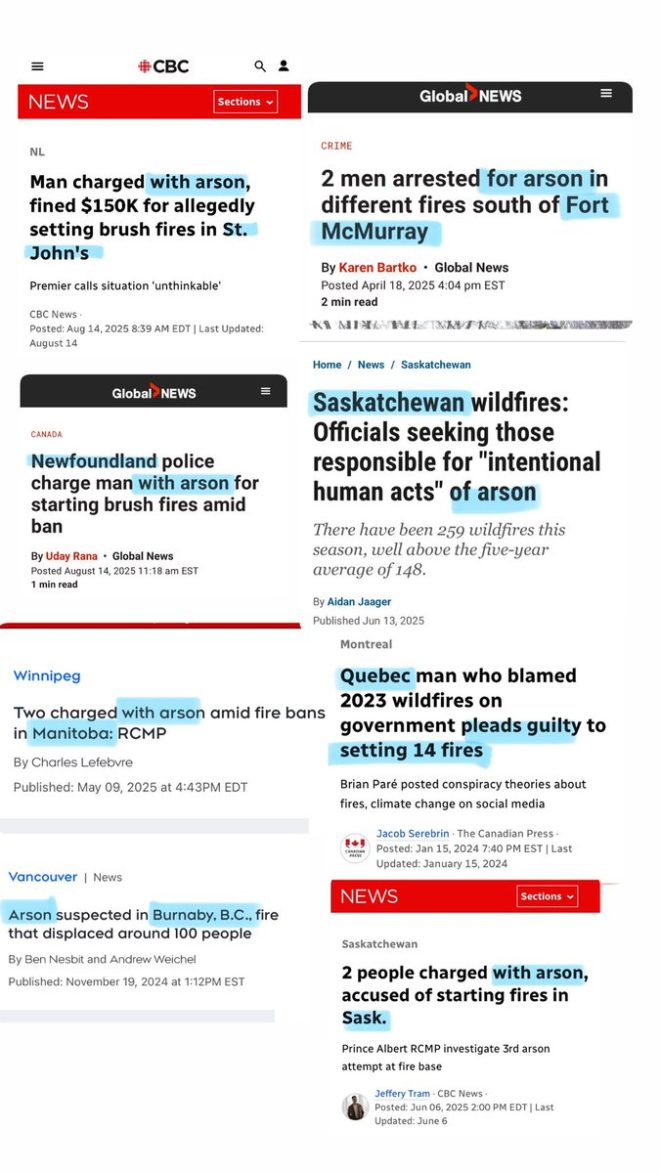 Canada's Shocking Arson Crisis: What You Need to Know! — Canada arson crisis 2025, wildfire statistics Canada, national fire safety issues