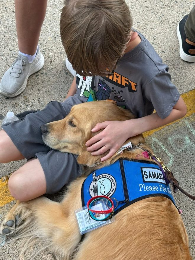 Comfort Dogs Arrive in Minneapolis After School Tragedy — comfort dog therapy, emotional support animals, crisis intervention services