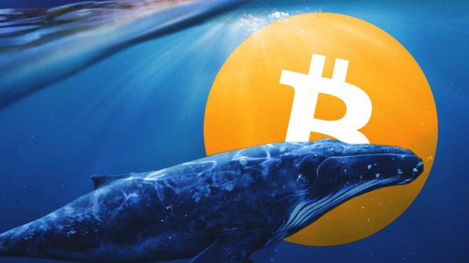 Crypto Shock: 24,000 BTC Shifted Amid $1.72B Mystery! — Crypto market analysis, Bitcoin transfer news, cryptocurrency investment trends