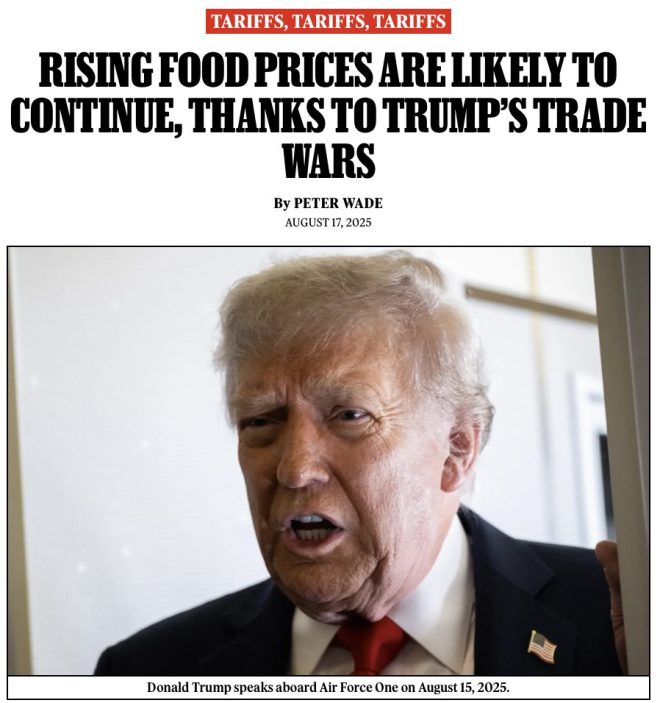 Food Prices Skyrocket: Is Trump’s Tariff to Blame? —  Rising vegetable prices 2025, inflation impact on groceries, tariff effects on food costs