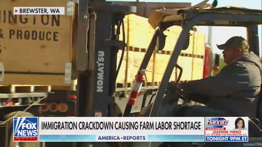 Fox News Can't Conceal Stephen Miller's Dark Agenda! — mass immigration impact 2025, agricultural labor crisis, deportation policies effects