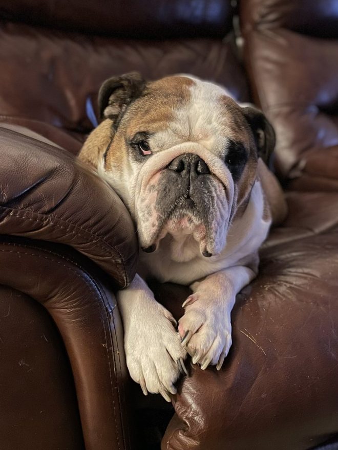 Heartbreaking News: Walter's Unexpected Death Leaves Us Shocked