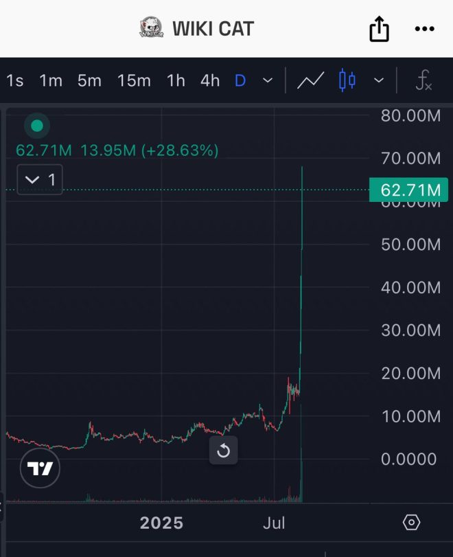 Is $WKC the Next Big Crypto? $200 Giveaway Sparks Debate! — Cat Cryptocurrency, Wiki Cat Community, $WKC Investment Strategy