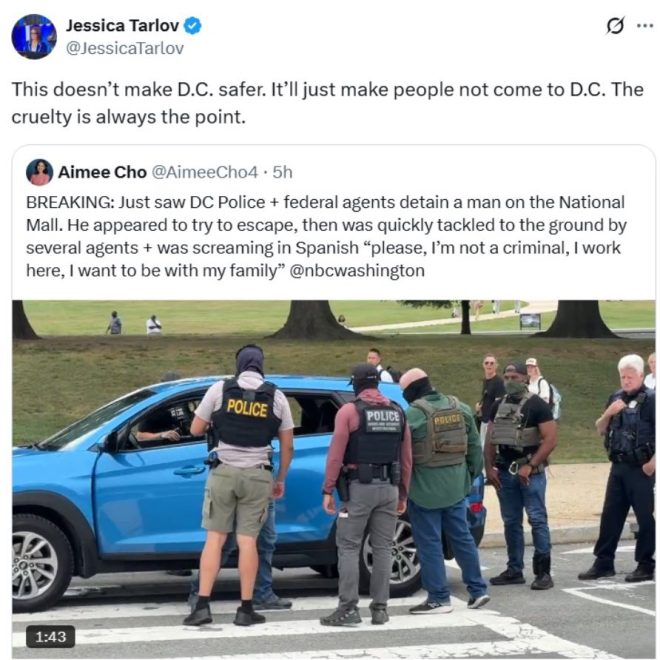 Jessica Tarlov Deletes Controversial Tweet on Wanted Criminal! — Jessica Tarlov tweet controversy, illegal immigrant child crimes, social media backlash Jessica Tarlov