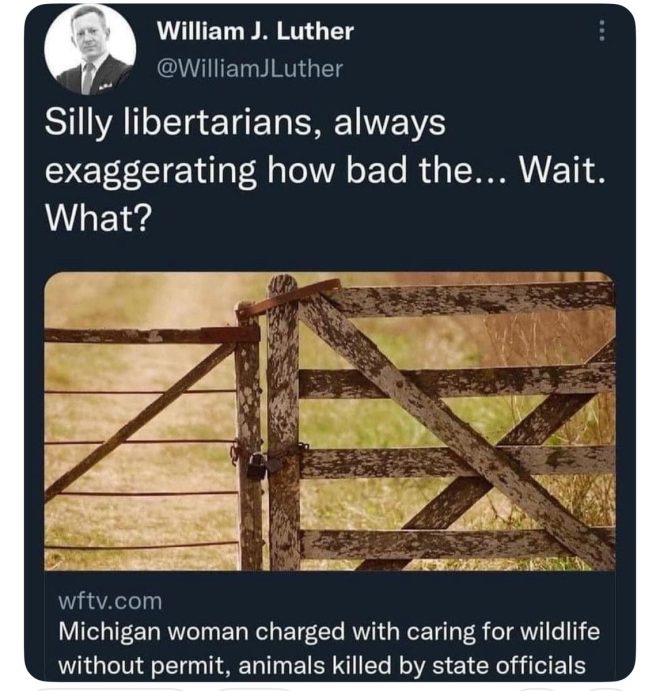Michigan DNR's Shocking Decision: Six Animals Killed! —  wildlife permit regulations Michigan, animal rights advocacy 2025, DNR animal management policies