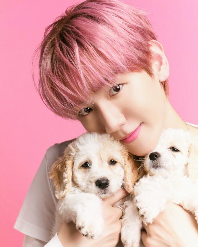 Puppy Playtime with BAEKHYUN: Can He Hit the Highest Note?
BAEKHYUN — puppy playtime, BAEKHYUN vocal range, K-pop collaboration news