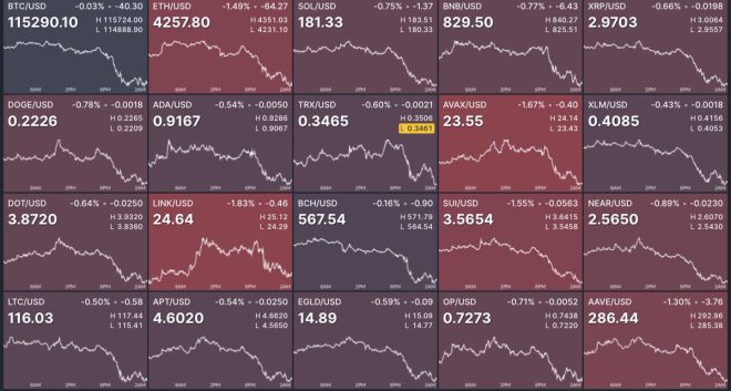 Shocking Crypto Collapse: $446M Longs Liquidated in 24H! — $446 million crypto loss, cryptocurrency market volatility, liquidations in crypto trading