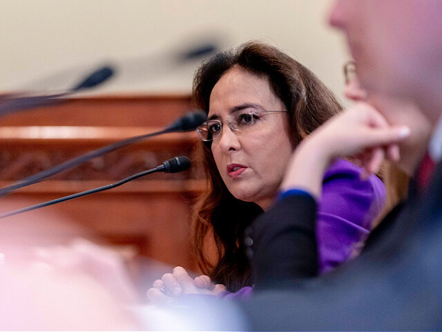 Shockwave: Biden's DOJ Civil Rights Team Purged by 75% —  DOJ Civil Rights lawyers, Harmeet Dhillon DOJ reform, draining the swamp 2025