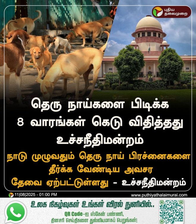 Supreme Court Bans Street Dog Capture for 8 Weeks! — street dog regulations, street dog control measures, Supreme Court ruling 2025