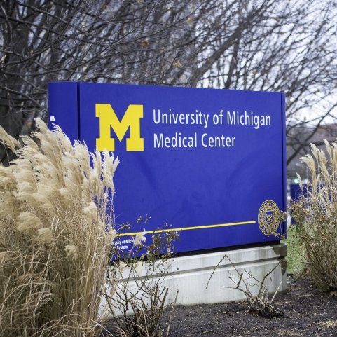 U of M Medical Center Halts Transgender Treatments for Minors! — puberty blockers ban, transgender medication policy change, Michigan medical center regulations