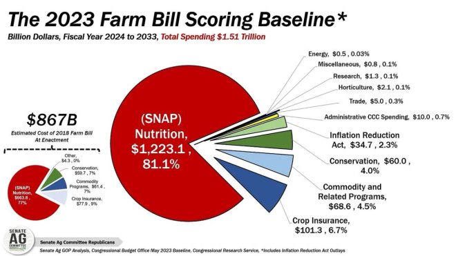 Walmart Wins Big: Is the U.S. Farm Bill a Farm Scam? —  biggest beneficiaries of U.S. Farm Bill, Walmart U.S. Farm Bill benefits, food assistance programs 2025
