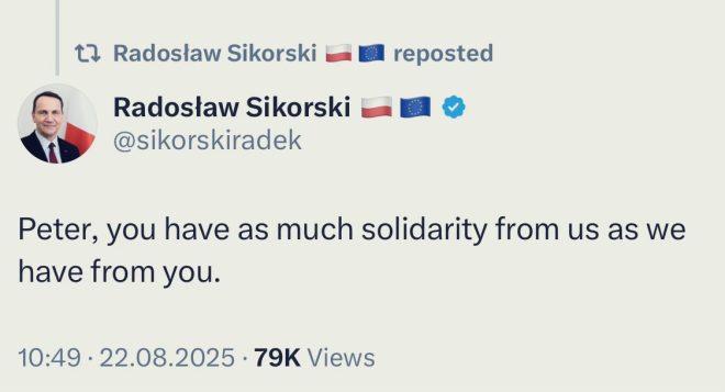 Почему Сикорский раскритиковал Сиярто? — Партнёрство в международной политике, солидарность между странами, дипломатические отношения России и Европы
