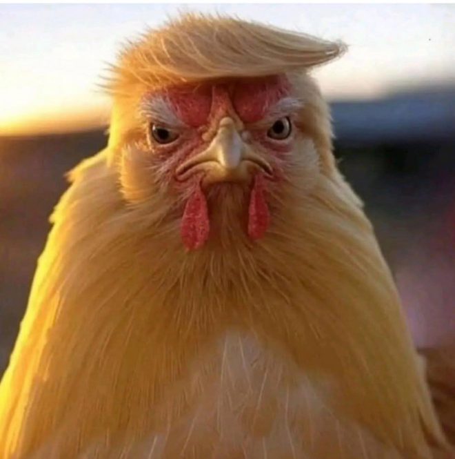 Трамп: мир на грани безумия или шанс на будущее? — Мирные соглашения с Россией, Условия безопасности для Украины, Трамп и международные отношения 2025