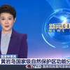 2025年9月11日新闻揭秘：你不知道的真相！ —  新闻联播, 热点新闻, 中国时事