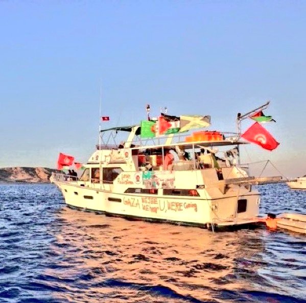 Breaking: Israel's Shocking Plan to Sink Freedom Flotilla - Arrests Loom for Those Who Resist! What Happens Next?