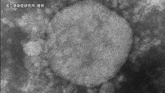 "COVID Variant 'Nimbus' Sparks 8-Fold Surge in Infections - Experts Warn of Severe Cases, Urgent Medical Attention Needed" — Coronavirus outbreak surge, Variant strain Nimbus, Medical facilities overwhelmed
