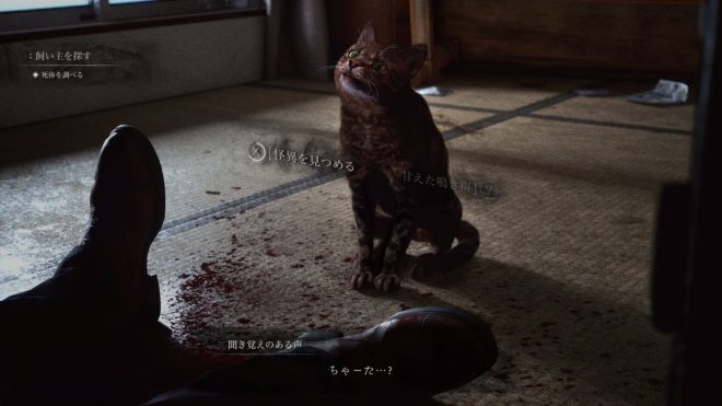 "Cat Stares into the Void in Horror Game 'The Way hOme': Uncovering Hauntings and Confronting the Unexplained" —  Horror game announcement, Cat staring into the void, Haunting accident property exploration
Supernatural entities, Intense staring, Void gazing feline
Paranormal investigation, Mysterious occurrences, Ethereal cat experience