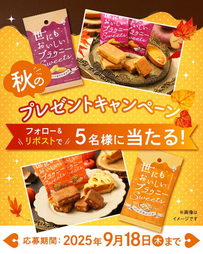 "Controversial Campaign: Follow & Retweet to Win Brownies! 🎁✨ Sweet Potato Tart & Pumpkin Pie Giveaway! @h_b_antique #BreakingNews" — プレゼントキャンペーン, ブラウニー当選, スイートポテトタルト, パンプキンパイ, フォロー&リポスト, DM連絡, 商品詳細