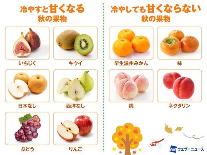"Controversial Study Reveals: Cooling Fall Fruits Increases Sweetness! Which Fruits Benefit and Which Don't?" —  Autumn fruits, Sweet when chilled, Chilled apple and grape
Fruits and sweetness balance, Chilling effect on apples and grapes
Chilled fruits for autumn, Balancing sugar levels in fruits