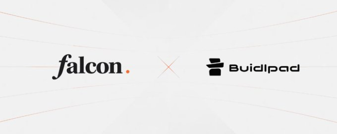 FalconStable的$FF销售，背后隐藏了什么？ —  快速发币策略, 社区销售动态, 加密货币热度排行榜