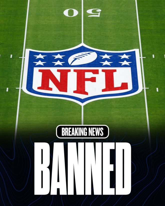 Fan Banned After Shoving DeAndre Hopkins: NFL's Bold Move! —  NFL fan incidents, DeAndre Hopkins news, Lamar Jackson reaction