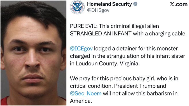 Illegal Immigrant Strangles Baby: Police Under Fire! —  illegal immigrant crime news, Loudoun County violence incidents, police immigration policies 2025