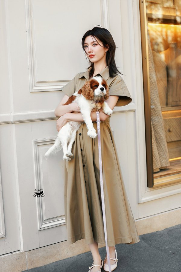 Is This Dog the Ultimate Fashion Statement in Paris? —  The ultimate fashion statement, Chic outfit enhancers, Must-have style essentials