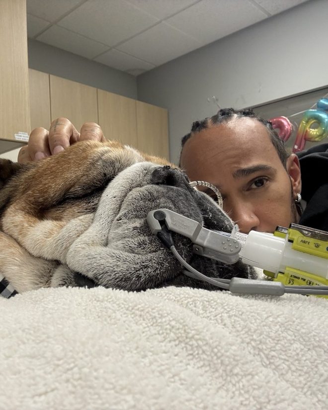 Love and Support: Is Roscoe's Health at Risk? —  Thankful for your kindness, Sending prayers for Roscoe, Support and love in tough times