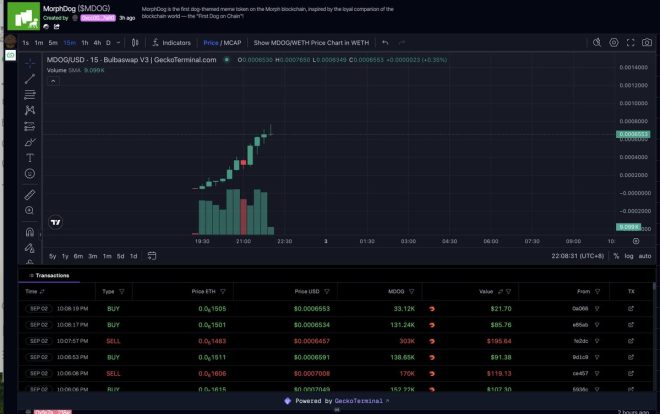 $MDOG背后的秘密：真的能复制$XDOG吗？ —  $MDOG 交易策略, MorphLayer 投资分析, 数字货币市场动态
