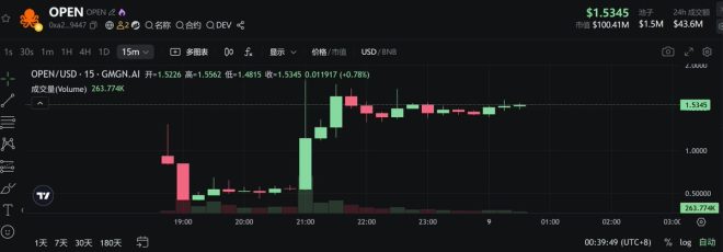 $OPEN上线币安，惊人走势引爆市场热度！ —  开放交易所新币, 数字货币涨幅分析, 投资潜力巨大