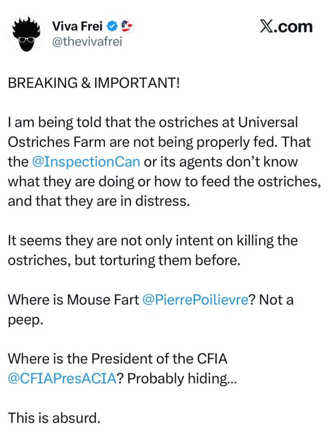 Outrage as RCMP and CFIA Face Torture Allegations! —  animal cruelty, ostrich welfare, humane treatment of animals