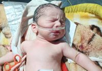 Shock and Outrage: Baby Born Amid Gaza's Tragic Bombing —  Gaza conflict news, emergency C-section survival stories, orphaned baby in war zone