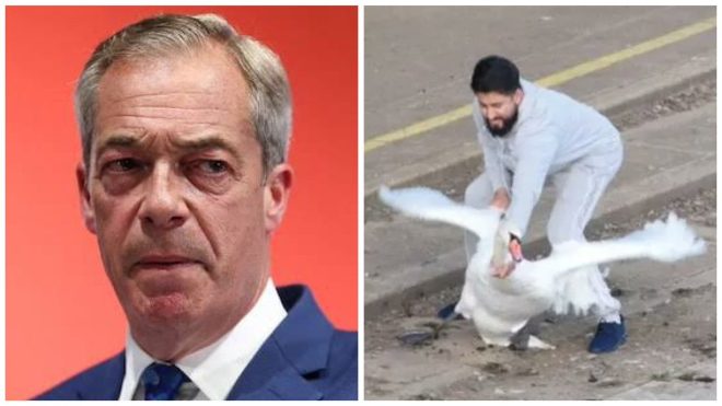 Shocking Claim: Migrants Killing and Eating Swans? —  illegal migration impact on wildlife, media cover-up of migrant crime, public safety and immigration policies