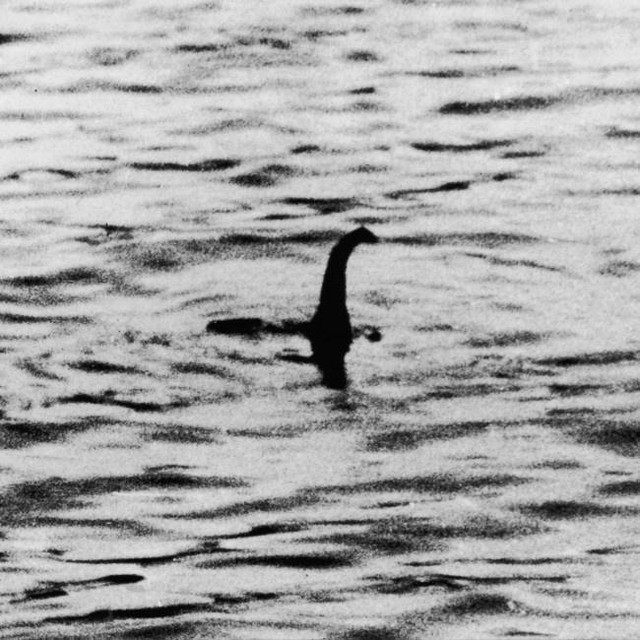 "Shocking Footage of Nessie Sighting after 3 Months - Unprecedented Phenomenon Uncovered!" —  ネス湖モンスター, 水中映像, 目撃情報