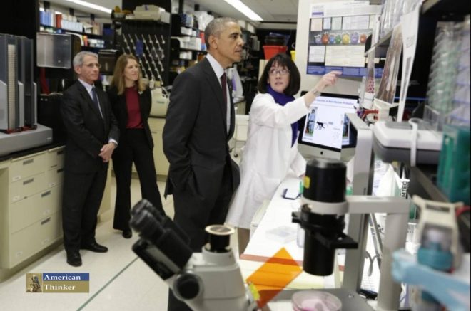 Shocking List: Powerful Employers Defied Vaccine Mandates! — Employers against vaccine mandates Plandemic, Companies exempt from Covid vaccination 2025, Organizations with non-vaccine policies