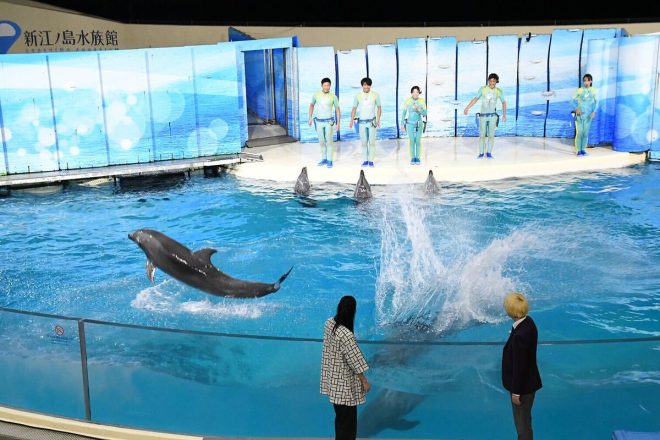 "Shocking News: Dolphin Dominates Vacuum Jessica in Unexpected Showdown!" —  
Dolphin dominates Jessica
Underwater battle victory
Epic dolphin vs vacuum showdown