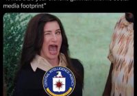 Shocking: Trump and Kirk Assassins Erased from Digital History! —  "Digital Footprint Investigation, High-Profile Assassination Cases, Political Conspiracy Theories"