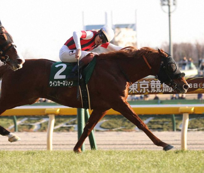 "Shocking Upset: Win Carnelian Wins G1 Sprinters Stakes, Miura Kosuke's 127th Attempt Leads to First Victory!" —  ウインカーネリアン勝利, 三浦皇成G1初勝利, スプリンターズS注目馬

血統スクリーンヒーロー, JRA G1挑戦, ウインカーネリアン父母

三浦皇成騎乗記録, G1制覇, コスモクリスタル血統