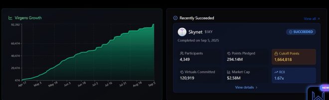 "Skynet发射成功！揭秘背后的惊人数据！🚀" —  有始有终, Skynet发射, 虚拟资产投资