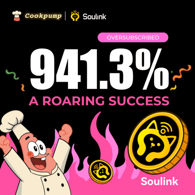 Soulink Ai IDO 震撼来袭！为何圈粉无数？ —  猫狗行为分析, AI 宠物情感解读, 加密货币宠物项目