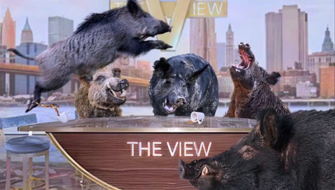 "The View: Cast Replaced by Shrieking Feral Pigs - Viewers Shocked and Confused!" —  Shrieking feral pigs on The View, Celebrity feral pig replacements, Outrageous cast swap on The View