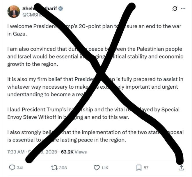 Trump's Gaza Plan: A Dangerous Dismissal of Palestinian Rights? —  Gaza peace plan criticism, Palestinian rights advocacy, Israeli-Palestinian conflict solutions 2025